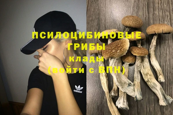 a pvp Абдулино