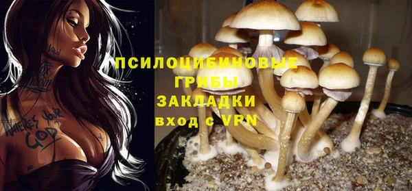 a pvp Абдулино