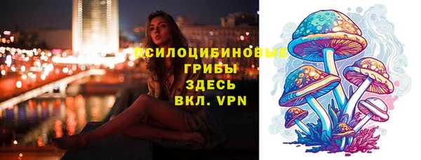 прущий лед Абаза
